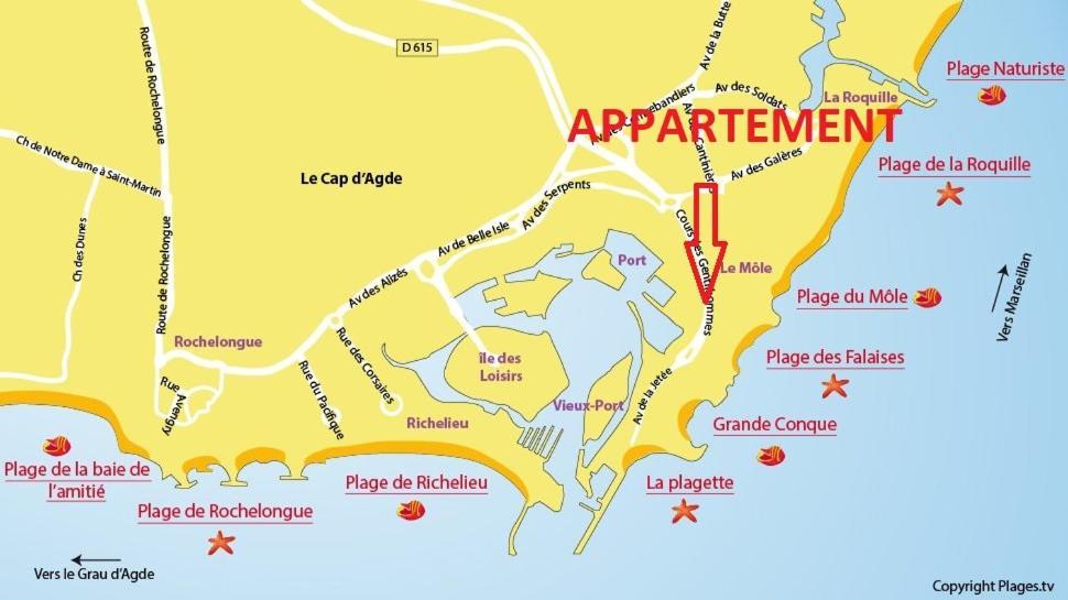 Cap D'Agde 300M Plage Du Mole,Vue Port,Parking,Lave Linge,Piscine公寓 外观 照片