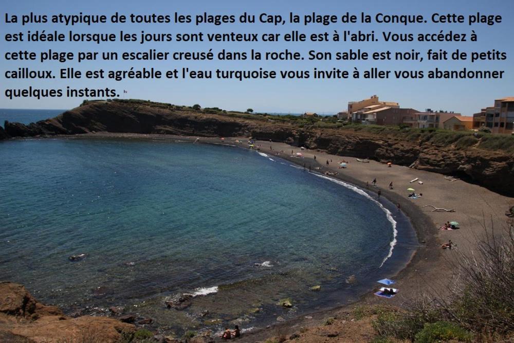 Cap D'Agde 300M Plage Du Mole,Vue Port,Parking,Lave Linge,Piscine公寓 外观 照片